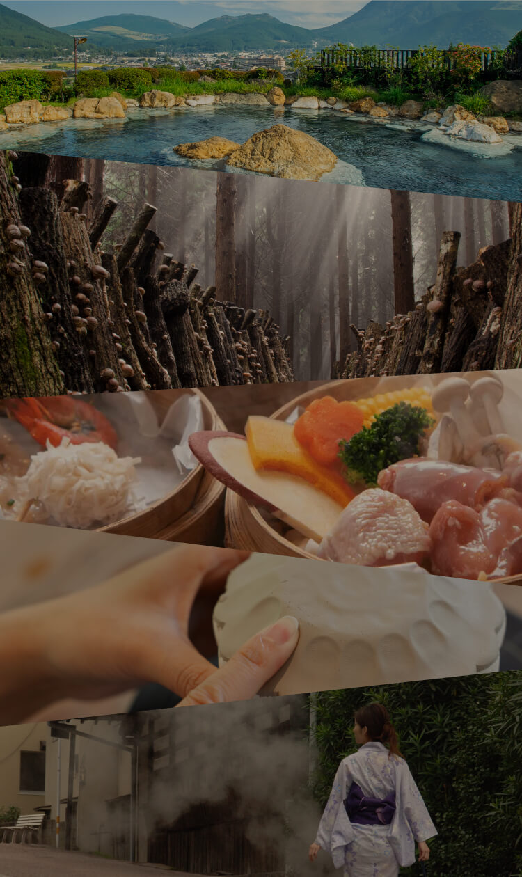 Oita Premium Program Collection